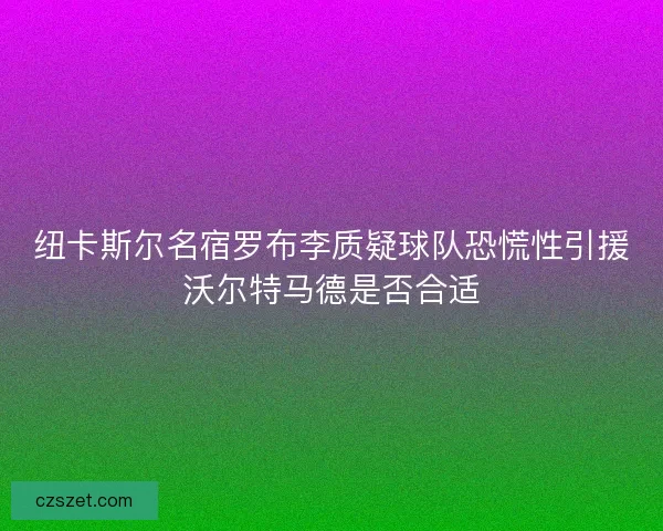 纽卡斯尔名宿罗布李质疑球队恐慌性引援沃尔特马德是否合适